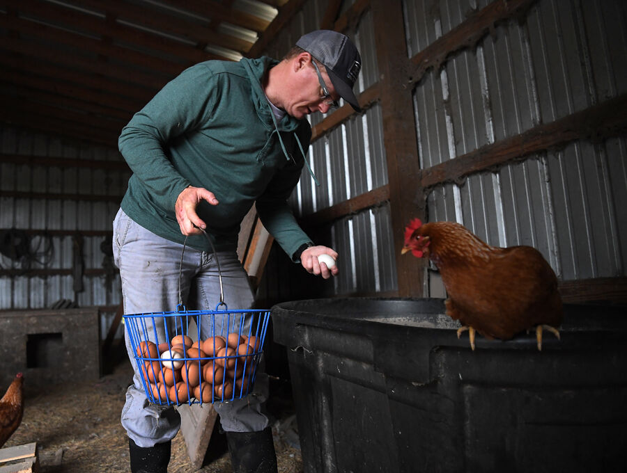 Supply chain subject To unusual shortages